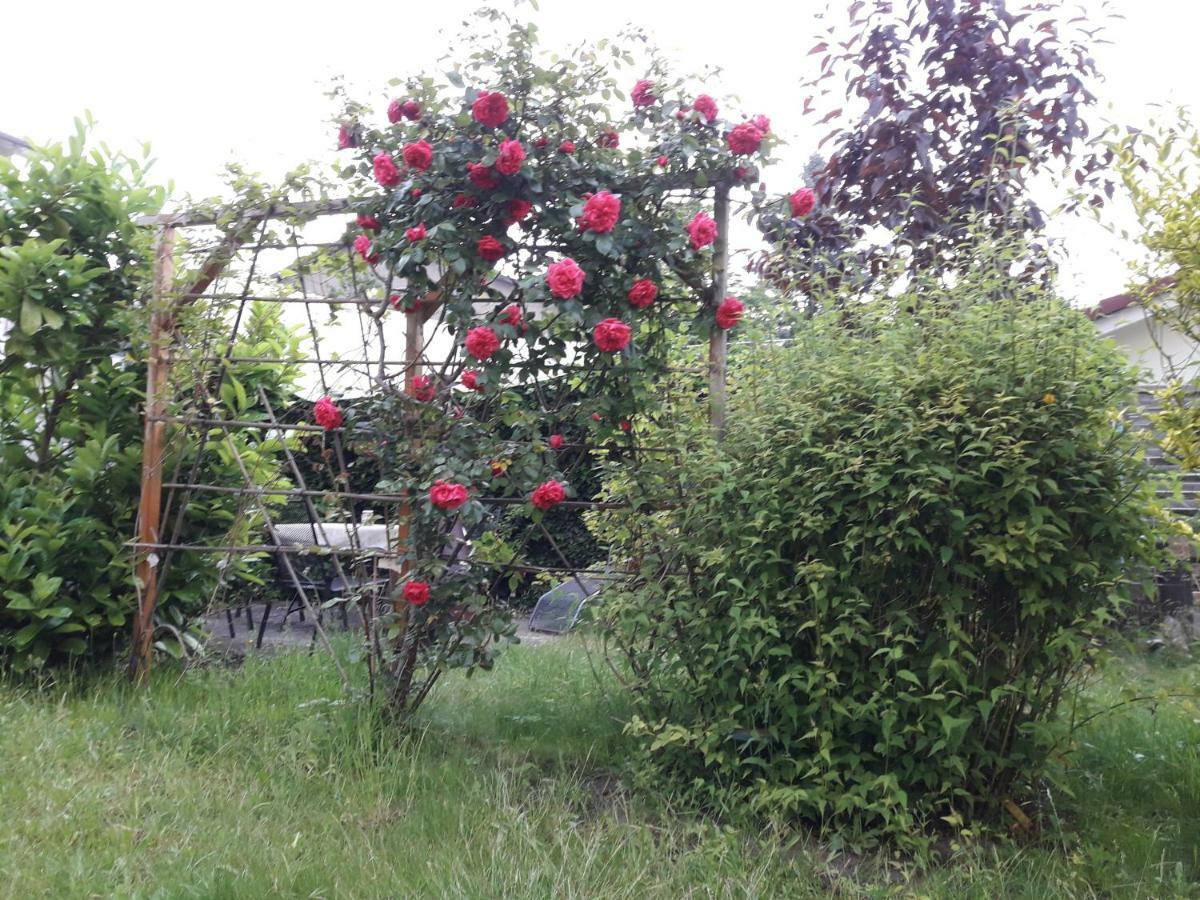 格拉尔-米里茨Gartenblick公寓 外观 照片